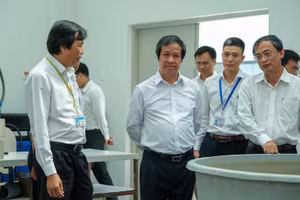 Phát triển giáo dục và đào tạo vùng Đồng bằng sông Cửu Long