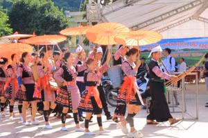 Màn diễu hành đường phố.