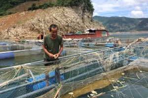 Nhờ chuyển sang nuôi cá lồng, cuộc sống của gia đình ông Bân đã thoát nghèo.