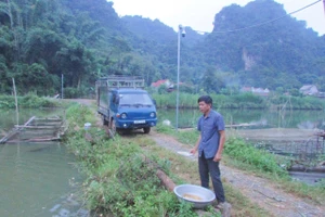 Nhờ chịu khó, ham học hỏi, ông Hữu đã thoát nghèo và có "của ăn, của để".