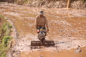 Đưa máy móc vào sản xuất nông nghiệp.