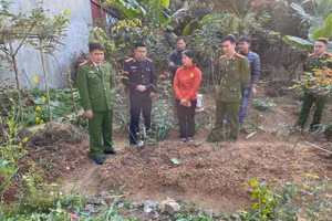 Cơ quan chức năng tiến hành kiểm tra vườn thuốc phiện.