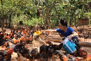 Nhờ triển khai chính sách hiệu quả, mức sống của người dân ngày càng nâng cao.