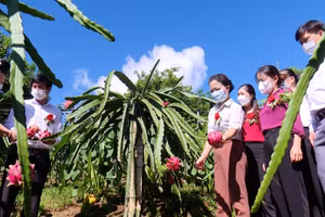 Huyện Thuận Châu luôn tập trung nguồn lực, hỗ trợ người dân phát triển kinh tế để thoát nghèo.