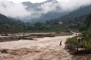 Mưa lớn xảy ra lũ quét và ngập lụt ở Sơn La.