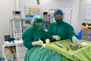 Các bác sỹ Bệnh viện Đa khoa Mộc Châu đang điều trị cho bệnh nhân.