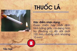 Trong khói thuốc lá có khoảng 7.000 chất hóa học. Ảnh minh họa.