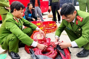 Lực lượng Công an Thanh Hóa đang kiểm tra số pháo nổ được vận chuyển trái phép trên xe khách. Ảnh: Công an Thanh Hóa cung cấp.