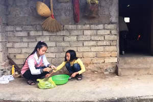 Hai chị em bé gái Lê Thị Anh Thư (phải) và Lê Thị Lan Anh đang nhặt rau giúp bà nội.