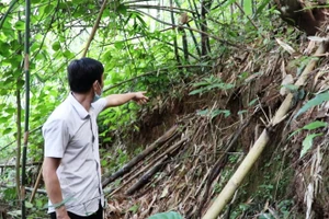 Người dân chỉ vết sạt trượt ở núi Tà Hẻm, xã Trung Thành, huyện Quan Hóa (Thanh Hóa).
