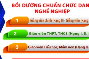 Nhiều giáo viên ở Thanh Hóa đã tự ý tham gia bồi dưỡng tiêu chuẩn chức danh nghề nghiệp theo hình thức học online. Ảnh minh họa.