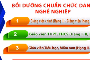 Nhiều giáo viên ở Thanh Hóa đã tự ý tham gia bồi dưỡng tiêu chuẩn chức danh nghề nghiệp theo hình thức học online. Ảnh minh họa.