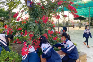 Môi trường thân thiện là một trong các yếu tố kích thích sự hứng thú của học sinh khi tới trường. 