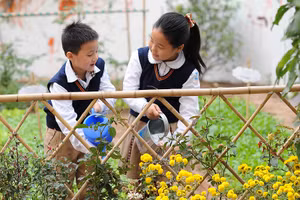 Sống xanh là chủ đề cần đưa vào chương trình học phổ thông.