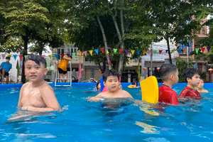 Các hồ bơi tư nhân tại khu vực đô thị luôn chật chội khi đến hè.