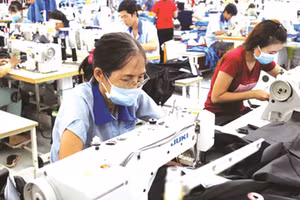 Việt Nam cũng có thể nghiên cứu kiến nghị Chính phủ để dành một nghề phù hợp cho người cao tuổi làm việc. Ảnh minh họa