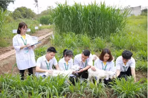 Ảnh minh họa/INT