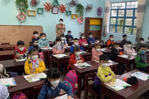 Học sinh lớp Một, Trường Tiểu học Đoàn Thị Điểm (quận Thanh Khê, TP Đà Nẵng) trong ngày đầu tiên đến trường. 