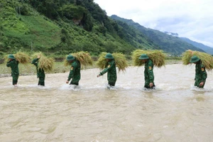 Vận chuyển lúa qua suối để tới điểm tập kết an toàn.