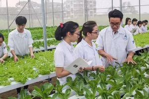 Đào tạo nhân lực ngành nông nghiệp công nghệ cao đóng vai trò quan trọng cho sự phát triển kinh tế, xã hội. Ảnh minh họa