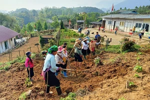 Bà con nhân dân thôn Sín Chải hỗ trợ san lấp mặt bằng để xây điểm trường Đồi Dù. Ảnh: T.A