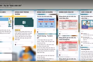 Một hoạt động dự án của học sinh Trường Olympia.