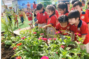 Lý tưởng của bạn là gì?