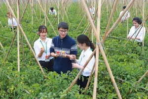 Sinh viên Học viện Nông nghiệp Việt Nam bên vườn thực nghiệm. Ảnh: NTCC