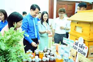 40 dự án tranh tài chung kết 'Dự án khởi nghiệp thanh niên nông thôn' 2023