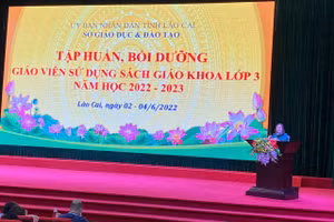 Lào Cai tập huấn, bồi dưỡng sử dụng sách giáo khoa lớp 3.