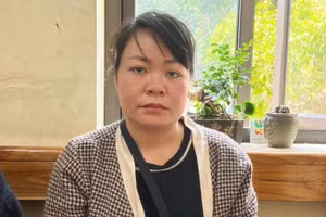 Hà Thị Nguyệt bị khởi tố về tội cố ý gây thương tích. 