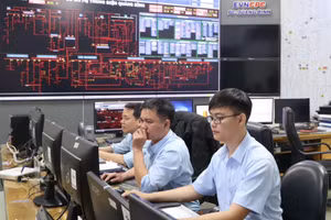 Nhiều sáng kiến của tuổi trẻ Công ty Điện lực Quảng Bình mang lại hiệu quả thiết thực trong sản xuất kinh doanh.