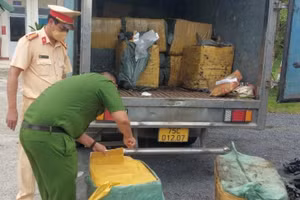 Lực lượng chức năng ngăn chặn sản phẩm động vật không rõ nguồn gốc xuất xứ trên đường đi tiêu thụ.