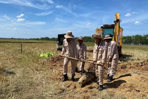 Lực lượng chức năng xử lý thành công quả bom nặng gần 230kg, được phát hiện trong ruộng lúa.