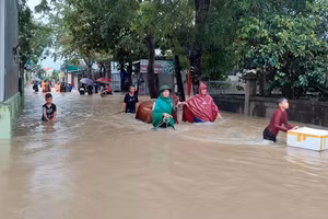 Ngập sâu do mưa lũ, lực lượng chức năng huyện Quỳnh Lưu (Nghệ An) sơ tán người dân và gia súc đến nơi an toàn. Ảnh: Mặt trận Quỳnh Lưu.