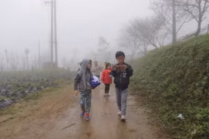 Những ngày qua, nhiều vùng tại Nghệ an rét đậm kèm sương mù