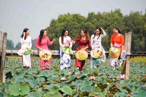 Đồng Tháp xuất hiện nhiều mô hình trồng sen kết hợp khai thác du lịch.