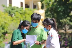 Ảnh minh hoạ/internet