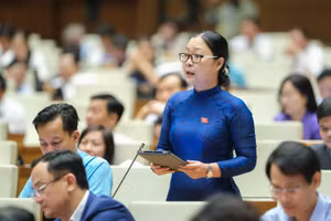 Đại biểu Nguyễn Thị Quyên Thanh – đoàn Vĩnh Long 