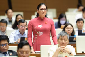 Đại biểu Nguyễn Thị Yến Nhi – Đoàn ĐBQH tỉnh Bến Tre