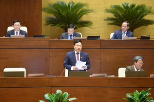 Phó Thủ tướng Thường trực Chính phủ Phạm Bình Minh đăng đàn trả lời chất vấn của đại biểu Quốc hội