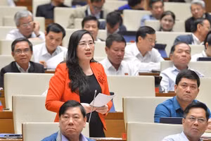 Đại biểu Quốc hội Nguyễn Thị Thuỷ (đoàn Bắc Kạn)