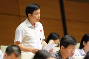 Đại biểu Lại Văn Hoàn