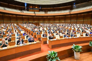 Toàn cảnh phiên biểu quyết