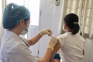 Ảnh minh hoạ/internet