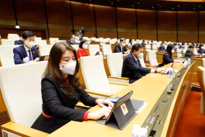 Các đại biểu biểu quyết