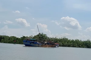 Tình trạng bơm hút cát trái phép vẫn diễn ra dù lực lượng chức năng đã tổ chức nhiều đợt ra quân xử lý.