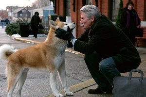 Tôi là Hachiko