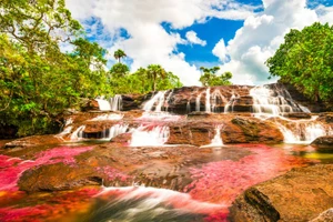 Chiêm ngưỡng tuyệt tác dòng sông ngũ sắc ở Colombia