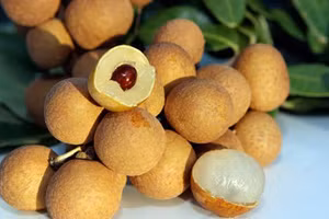 Ảnh minh hoạ ITN.